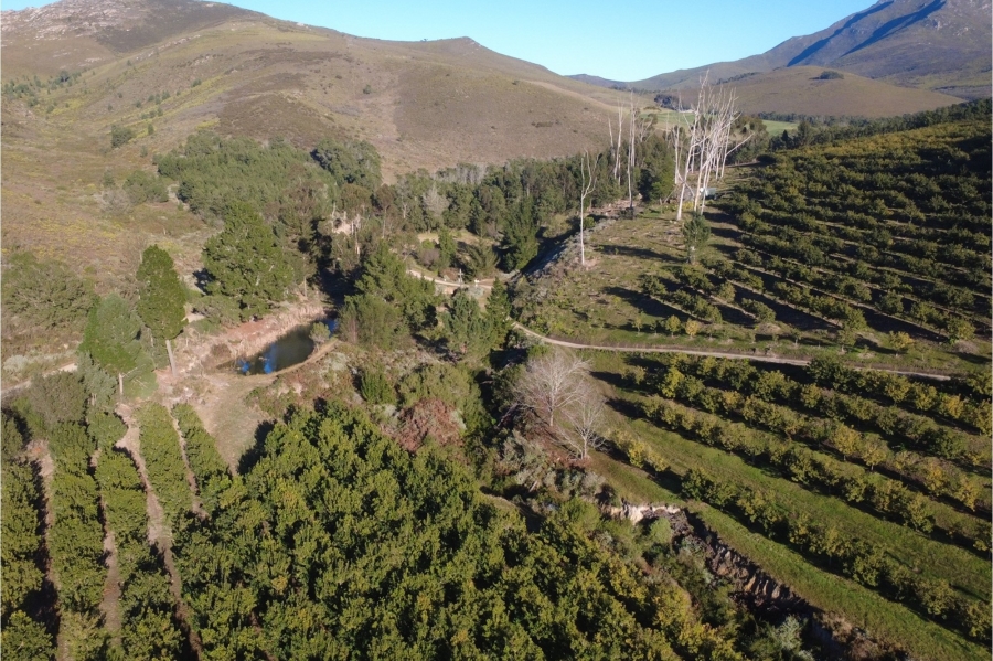 0 Bedroom Property for Sale in Herbertsdale Western Cape